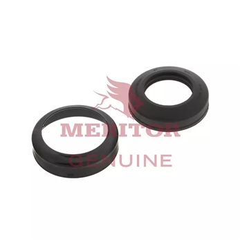 Meritor 20Rpl Seal Assembly P/N: KIT20RPL-SEAL or KIT20RPLSEAL