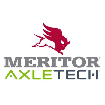 Axletech Meritor M150x200-6h Nut P/N: 122701022E