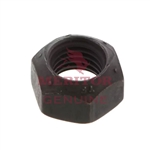 AxleTech Locknut P/N: NL2121