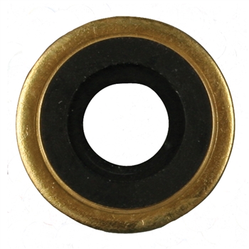 7-54 Sure Seal Brass Washer with Neoprene, 100/pkg