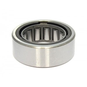 9 inch Ford Pilot Bearing