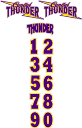 Capital Thunder Helmet Decals | Stickers