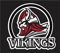 HFV - Custom Hockey Car Window Decals1