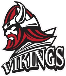 Homewood Flossmoor Vikings Hockey Custom Car Window Decals