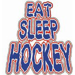 Eat Sleep Hockey Decal