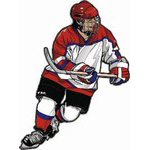 HP17 Hockey Decal