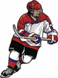 HP17 Hockey Decal
