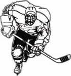HP3 Hockey Decal