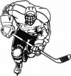 HP3 Hockey Decal