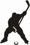 HP4 Hockey Decal