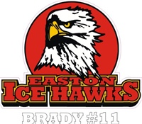 Hockey Car Decals Windows