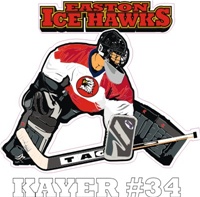 Goalie Helmet Decals
