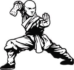 Karate 1