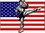 K American Flag