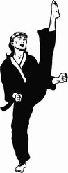 Karate 3