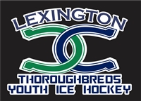 Central Kentucky Custom Custom Hockey Car Decals