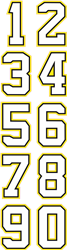 Custom NCMYH Hockey Helmet Number Sheets - 0-9 full Team Colors