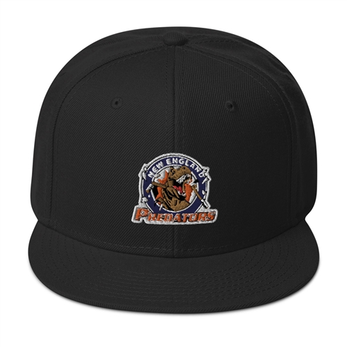 NEPH Snapback Hat
