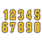 Queen City Honey Badgers Hockey Helmet Decals