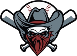Oregon Baseball Helmet Decals