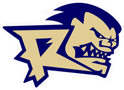 Roxbury Rage Youth Baseball Custom Batting Helmet Decals