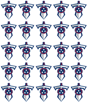 Custom Twin City Titans l Helmet Award Decals | Helmet Stickers