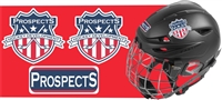 TP - Hockey Helmet Decals Stickers