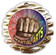 Martial Arts Medal