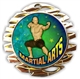 Martial Arts Medal