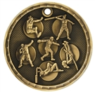 Field Day Medal