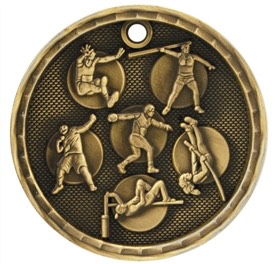 Field Day Medal