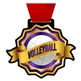 Volleyball Medal | Volleyball Award Medals