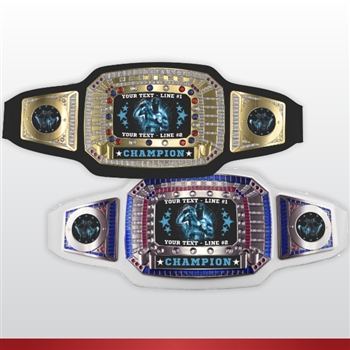 Champion Award Belt for Boxing