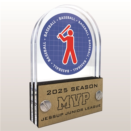 Double Pane Acrylic Baseball Trophy Award