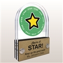 Double Pane Acrylic Star Trophy Award