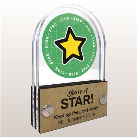Double Pane Acrylic Star Trophy Award