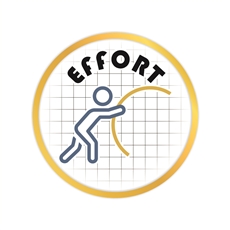 Effort Pin