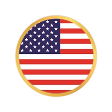 American Flag Pin