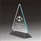 Pop-Peak boxing acrylic award