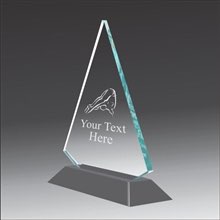 Pop-Peak diving acrylic award