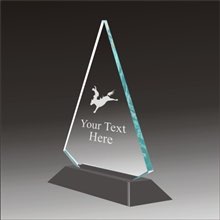 Pop-Peak rodeo acrylic award