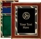 Piano Finish Volleyball Award Plaque