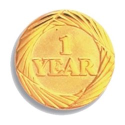 One Year Service Pin