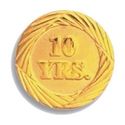 Ten Year Service Pin