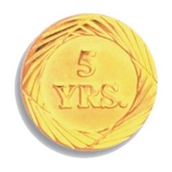 Five Year Service Pin