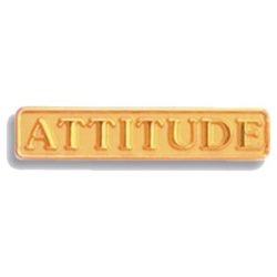 Attitude Pin