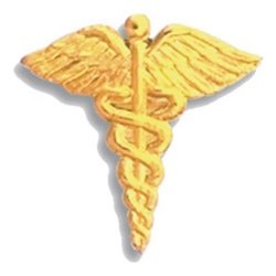 Caduceus Pin