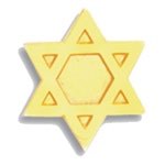 Star of David Pin