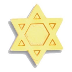 Star of David Pin