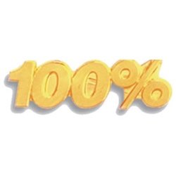 100% Pin